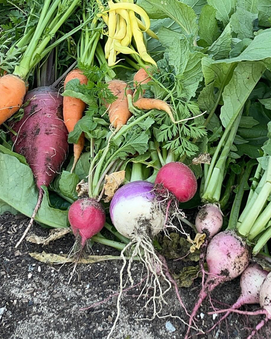 Backyard Homesteading Consultation