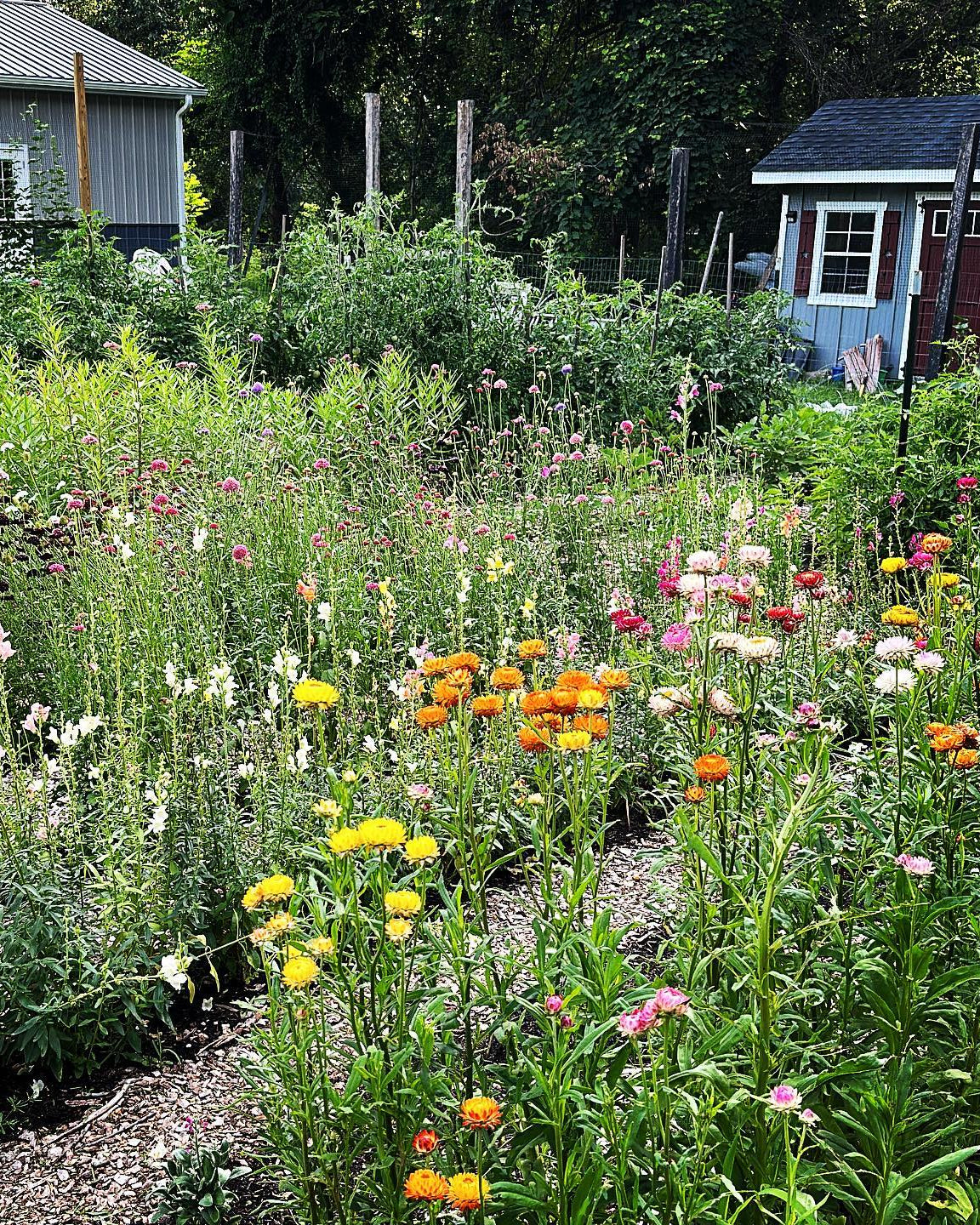 Backyard Homesteading Consultation