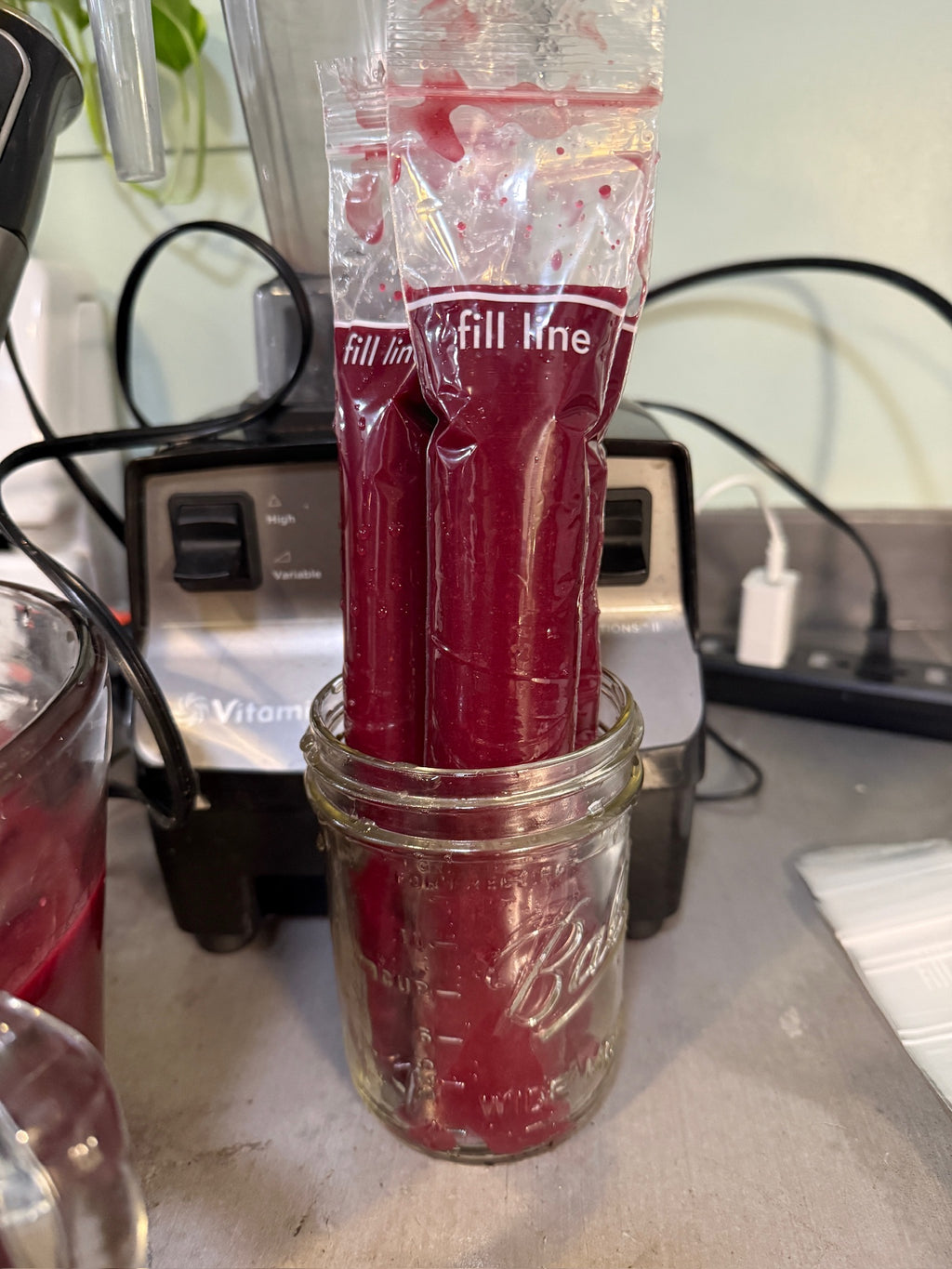 Immunity Boost Elderberry Pop