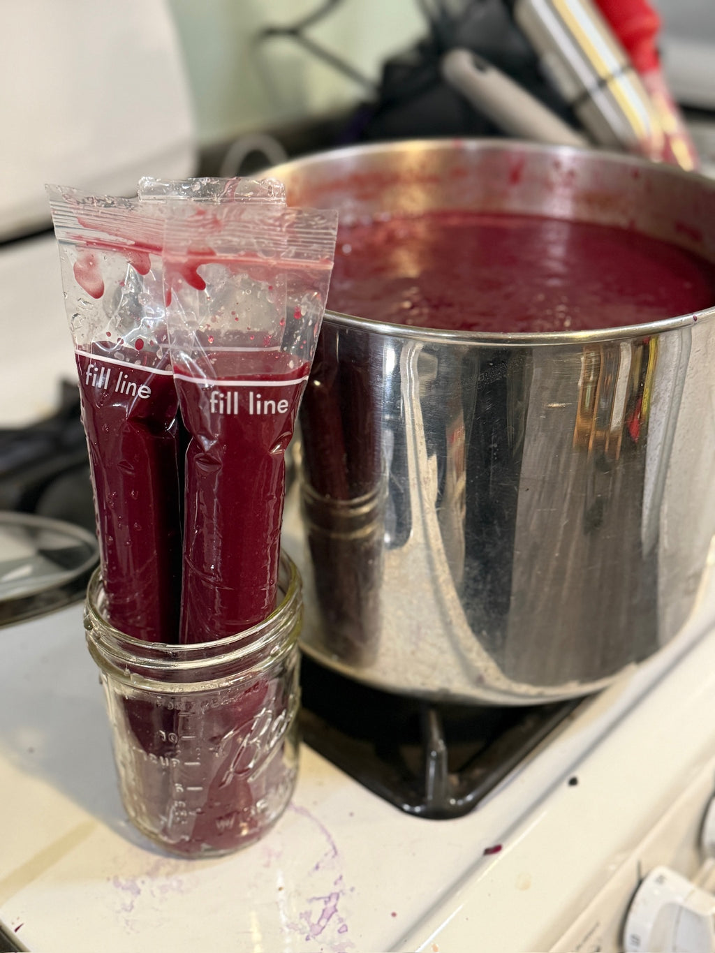 Immunity Boost Elderberry Pop