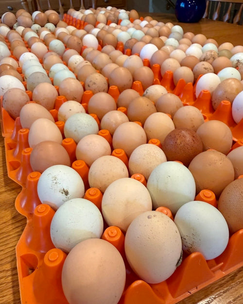 Farm Fresh Eggs