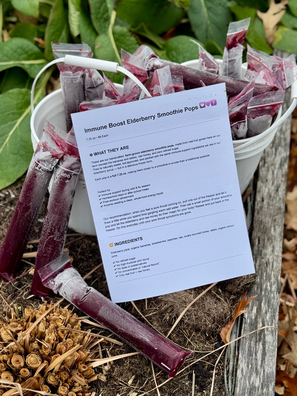 Immunity Boost Elderberry Pop