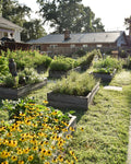 Backyard Homesteading Consultation
