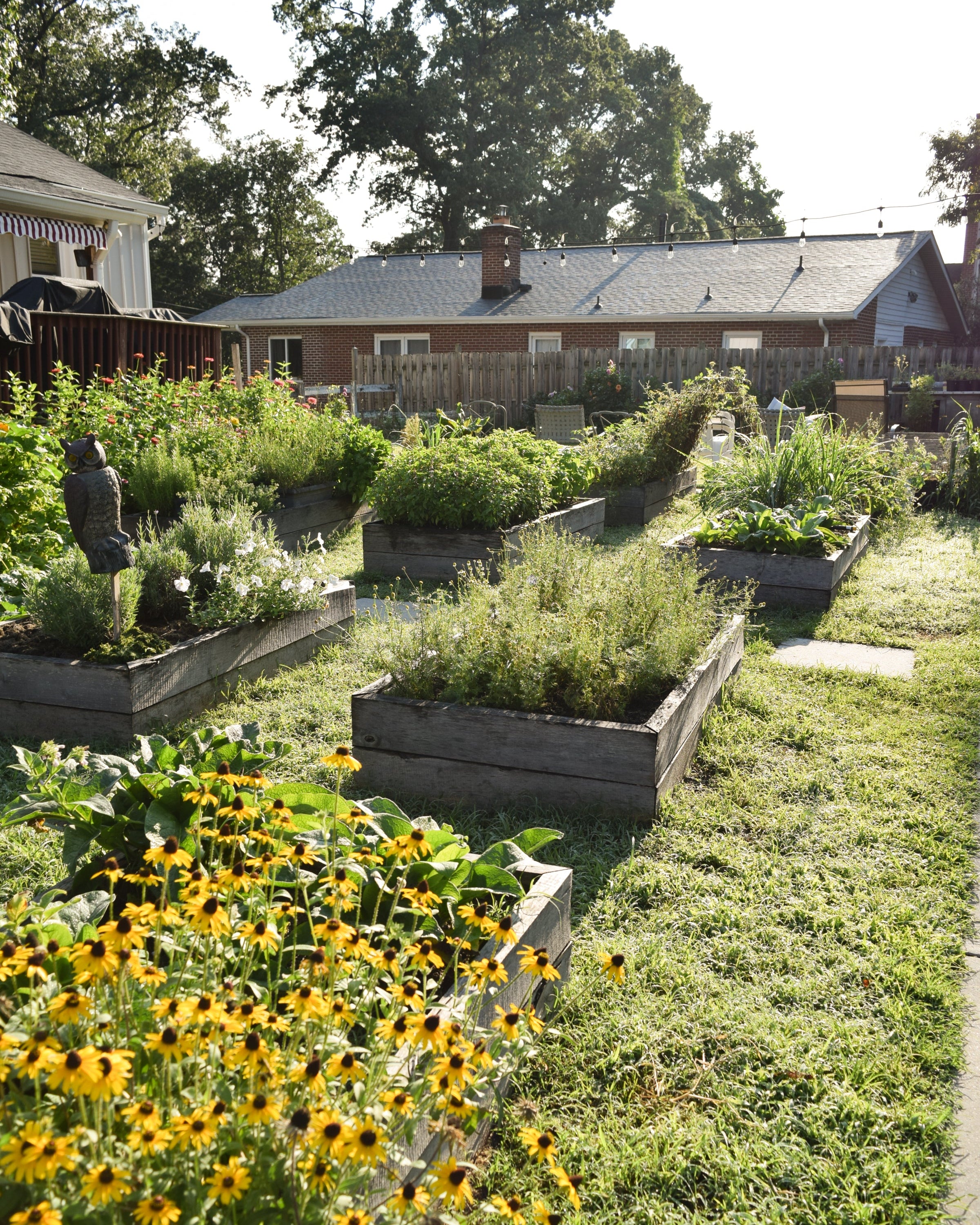 Backyard Homesteading Consultation